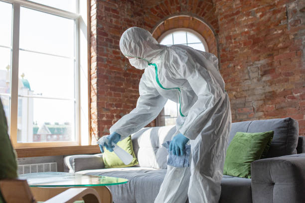 Why You Should Choose Our Mold Remediation Services in Middletown, KY