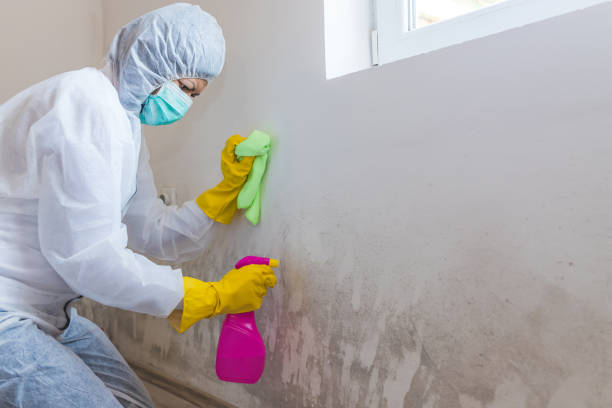 Mold Odor Removal Services in Middletown, KY